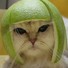 Avatar użytkownika